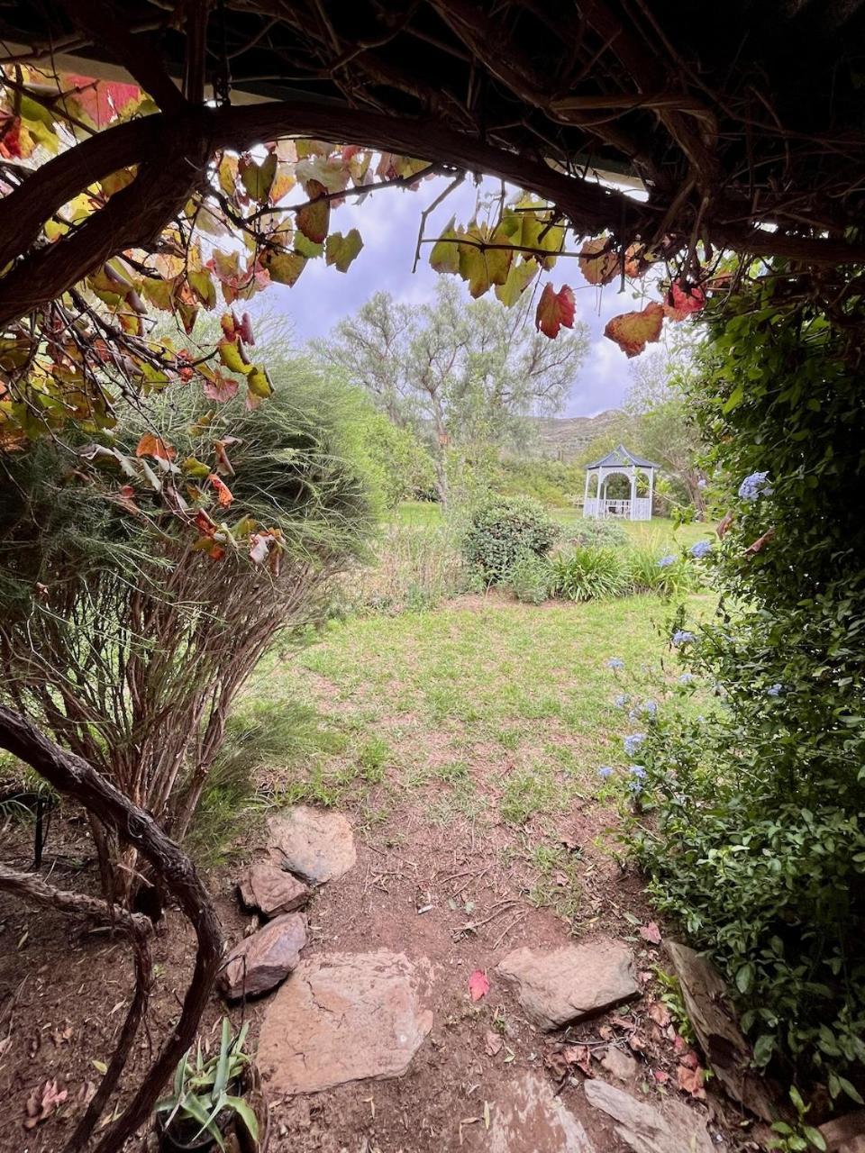 Tradouw Guesthouse Barrydale Dış mekan fotoğraf
